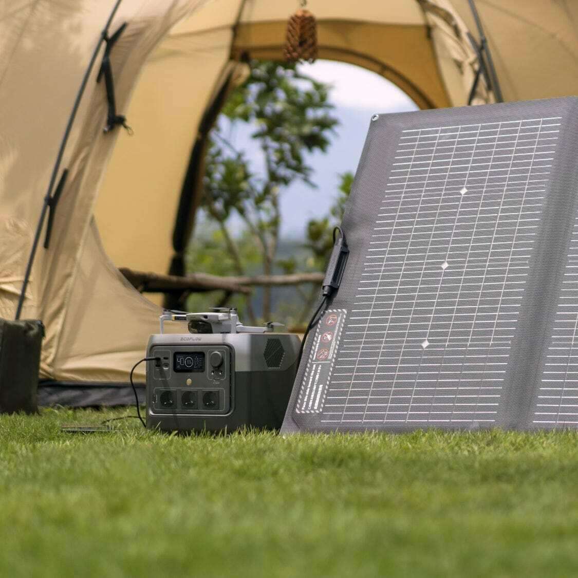 chargeur alternateur ecoflow Batterie portable 1000w
