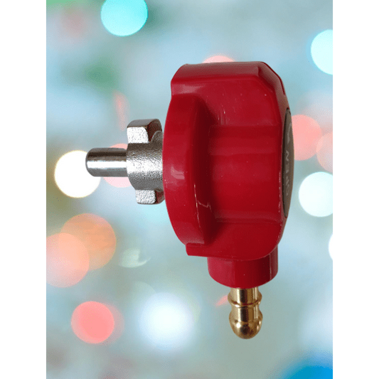 Prise Rapide volante De Carrosserie Pour Barbecue au détail