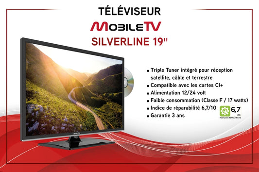 Tv 19'' Dvd tnt et satellite mobile tv