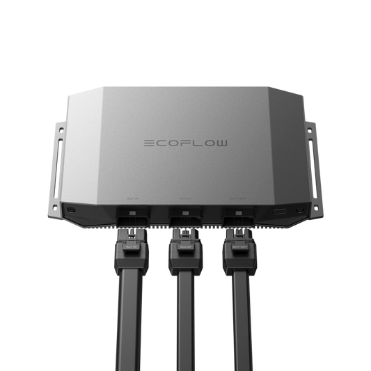 chargeur alternateur ecoflow Batterie portable 1000w