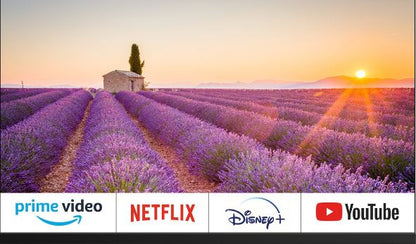 Tv 22" EQUINOXE Smart Connecté Google officiel